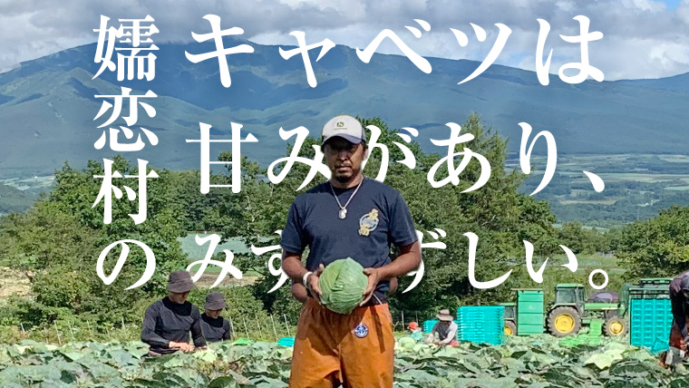 嬬恋キャベツ 嬬恋産 高原キャベツ3玉1ケース 旬の野菜 きゃべつ 産地直送 群馬 お取り寄せ 野菜 セット Lサイズ [AS010tu]