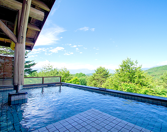 群馬県嬬恋村 ANAトラベラーズホテル割引クーポン 4,500点分