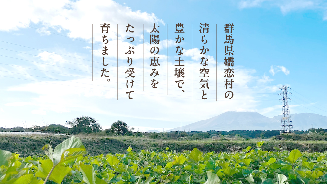 【 10月下旬発送開始 】嬬恋産 熟成 さつまいも 紅はるか 4kg 芋 いも サツマイモ 野菜 通販 お取り寄せ 嬬恋産 おいもやかんばら 農園 野菜 詰合せ 群馬 先行受付 [BR001tu]