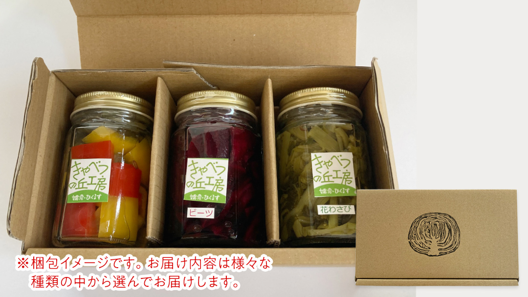 ピクルス 3種 の セット 惣菜 洋風惣菜 常備菜 野菜 サラダ セット ギフト 贈答用 熨斗 [AB080tu]