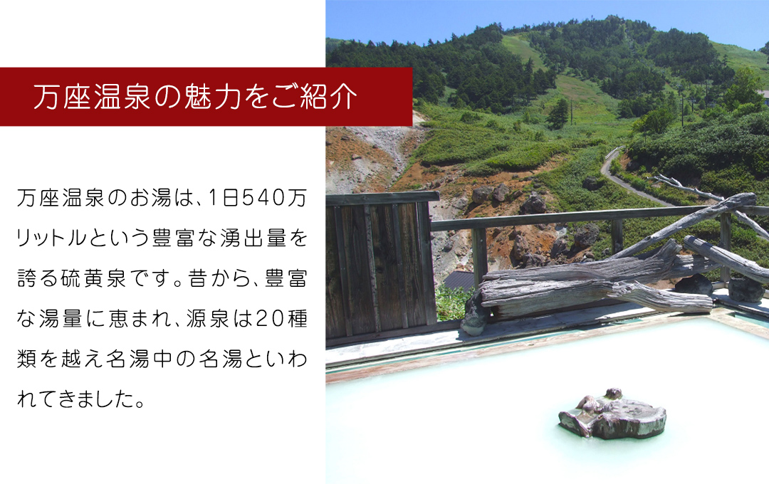 温泉の素 【 万座 の湯】 大袋 ( 10回分 ) 2袋 温泉 入浴剤 バスパウダー お風呂 バスタイム 美肌 名湯 入浴 半身浴 リラックス 贈り物 バスグッズ [AB091tu]