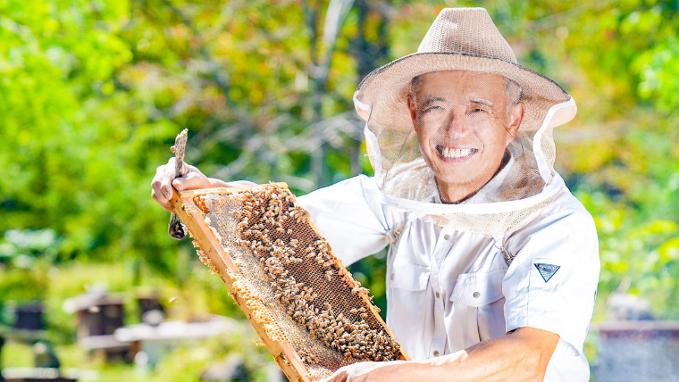 嬬恋村 愛妻はちみつ ( 百花 ) 250g 3個セット はちみつ ハチミツ 国産 蜂蜜 群馬 [AC002tu]