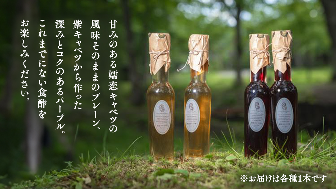 キャベツ酢2本セット 酢 調味料 ダイエット 酢キャベツ おすすめ ダイエット [AF002tu]