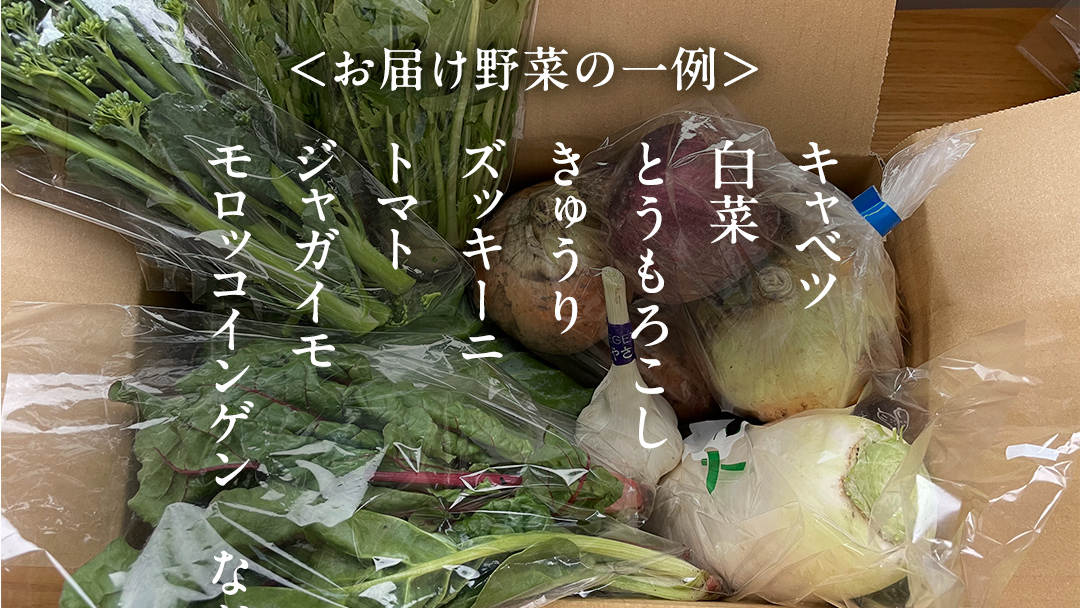 本日のおまかせ 高原野菜 の 詰合せ 5kg 5種以上 おまかせ 野菜 野菜セット 旬 5kg 産地直送 嬬恋 旬の野菜 [AF027tu]