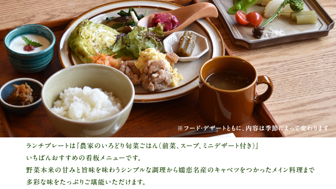 嬬恋村を満喫! ランチ付き 嬬恋村 観光 プラン ( 2名 様 ) 体験 野菜 飲食 ガイド 観光地 食べる ギフト チケット 利用券 食事券 旅行 群馬 観光 [AF030tu]