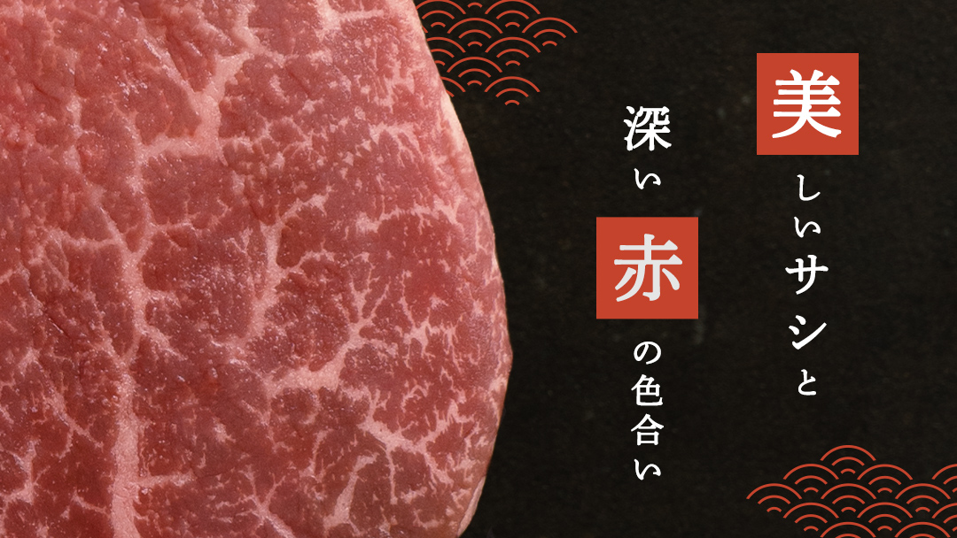 《 定期便 》 上州牛 ヒレステーキ 100g × 5枚 3ヶ月 連続お届け 牛肉 ヒレ ヒレ肉 小分け 日本 国産 国産牛 群馬 500g 冷凍 真空パック ステーキ用 お肉 肉 焼肉 焼き肉 バーベキュー BBQ ブランド牛 先行予約 [AH020tu]