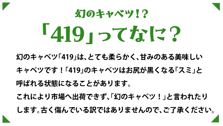 【9/10入金確認分まで】  嬬恋キャベツ と旬の 高原 野菜 セット 1～2人 様向け 旬の野菜 先行予約 キャベツ 群馬 419 嬬恋キャベツ 産地直送 少量 詰め合わせ アソート [AK001tu]