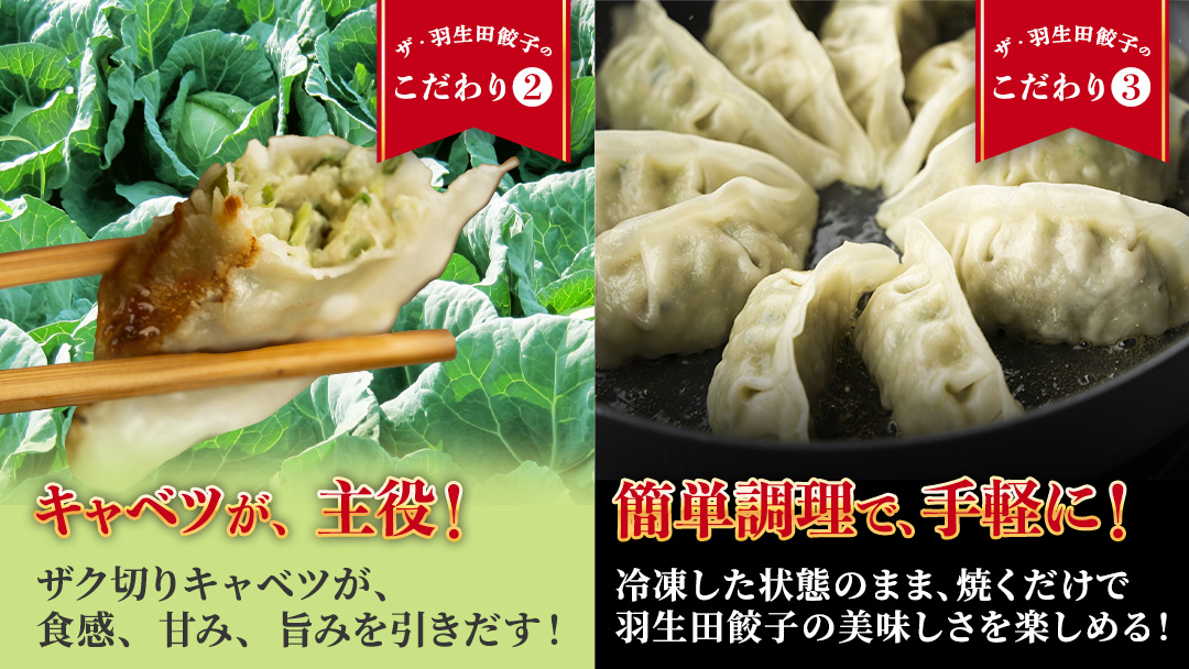 まぼろしのキャベツ419使用 ザ・羽生田餃子 15個 × 7パック 合計105個 ぎょうざ 豚肉 ギョウザ 小分け キャベツ 419 特産品 人気 冷凍 中華 中華惣菜 惣菜 大容量 [AL002tu]