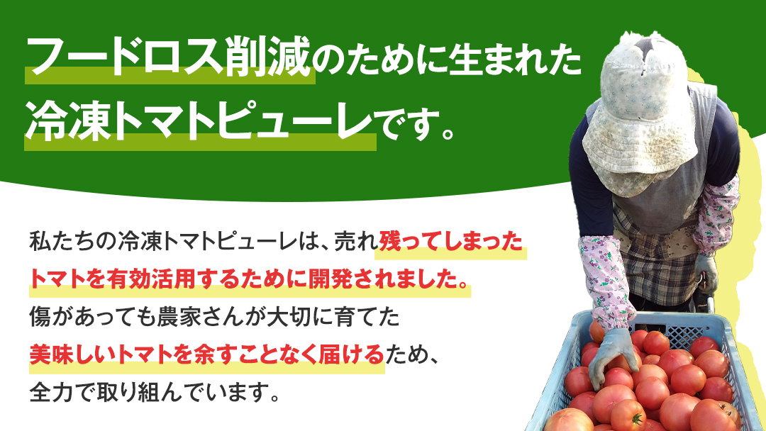 冷凍 トマトピューレ 1000g 訳あり トマトピューレ トマト 冷凍 フードロス 嬬恋産 万能 羽生田売店 時短 [AL011tu]