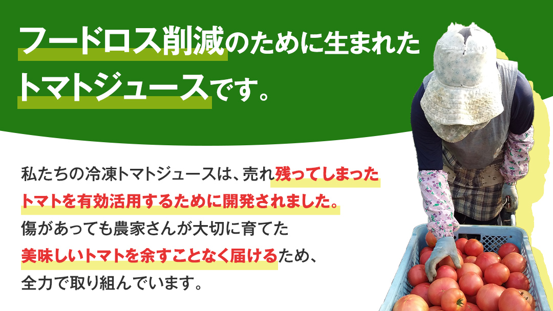 添加物不使用のトマトケチャップ 300g×2本 トマトジュース180ml×3本 詰合せセット 訳あり フードロス トマト トマトケチャップ ケチャップ トマトジュース ジュース 野菜 ギフト 詰合せ ギフトセット [AL013tu]
