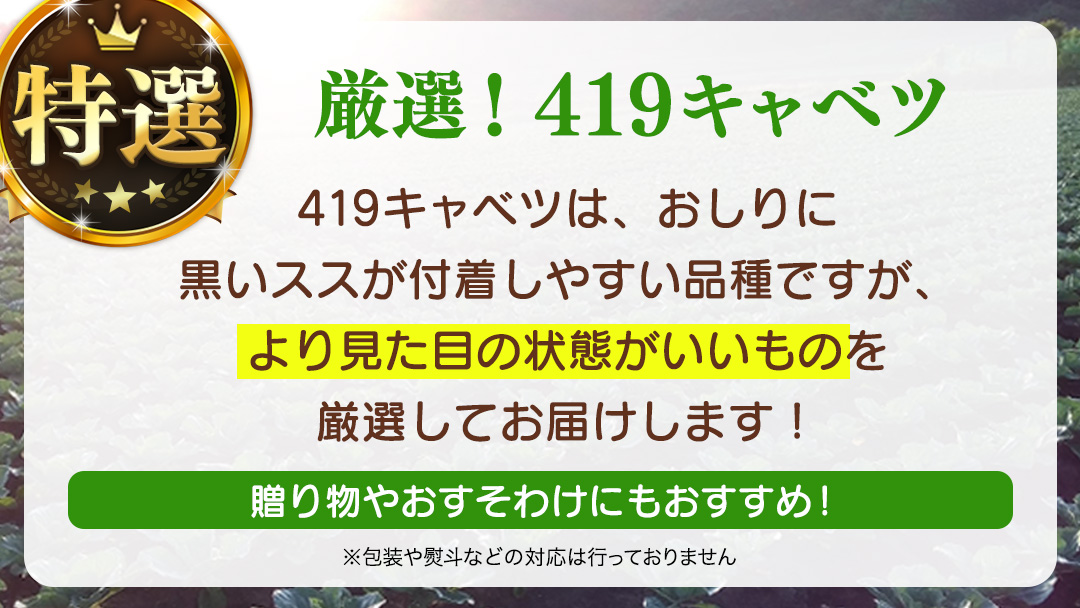 ＜7月中旬発送開始＞ 【 特選 】 まぼろしの419キャベツ 4玉 きゃべつ 嬬恋村産キャベツ 羽生田売店 幻のキャベツ419 産地直送 期間限定 先行予約 人気 朝採り 通販 お取り寄せ 関東 群馬 出荷時期限定 先行受付 [AL021tu]