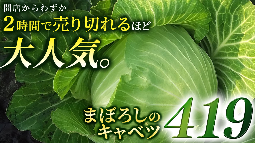 ＜ 8月上旬 発送開始 ＞ 朝採り野菜 人気2種セット まぼろしの419キャベツ 2玉 と 甘～いトウモロコシ 恵味 20本 とうもろこし きゃべつ キャベツ トウモロコシ 嬬恋村産キャベツ 幻のキャベツ419 産地直送 羽生田売店 期間限定 人気 朝採り お取り寄せ 関東 群馬 先行予約 通販 出荷時期限定 [AL022tu]