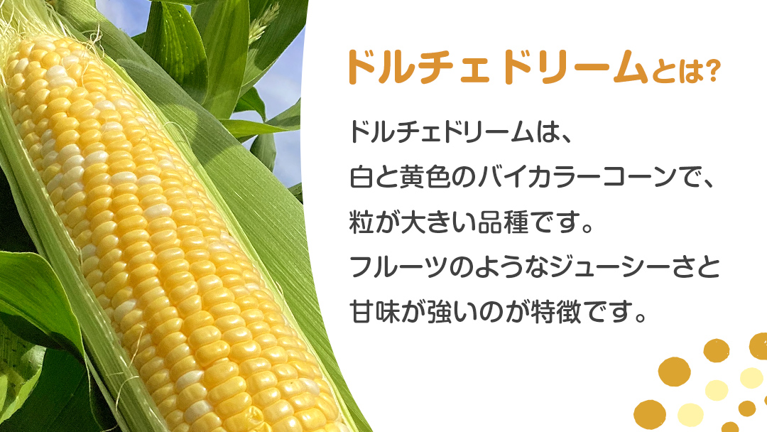 【 数量限定 】 嬬恋産 とうもろこし ドルチェドリーム 約12本～14本 約 7kg トウモロコシ 大粒 野菜 群馬 産地直送 期間限定 お取り寄せ [AT002tu]