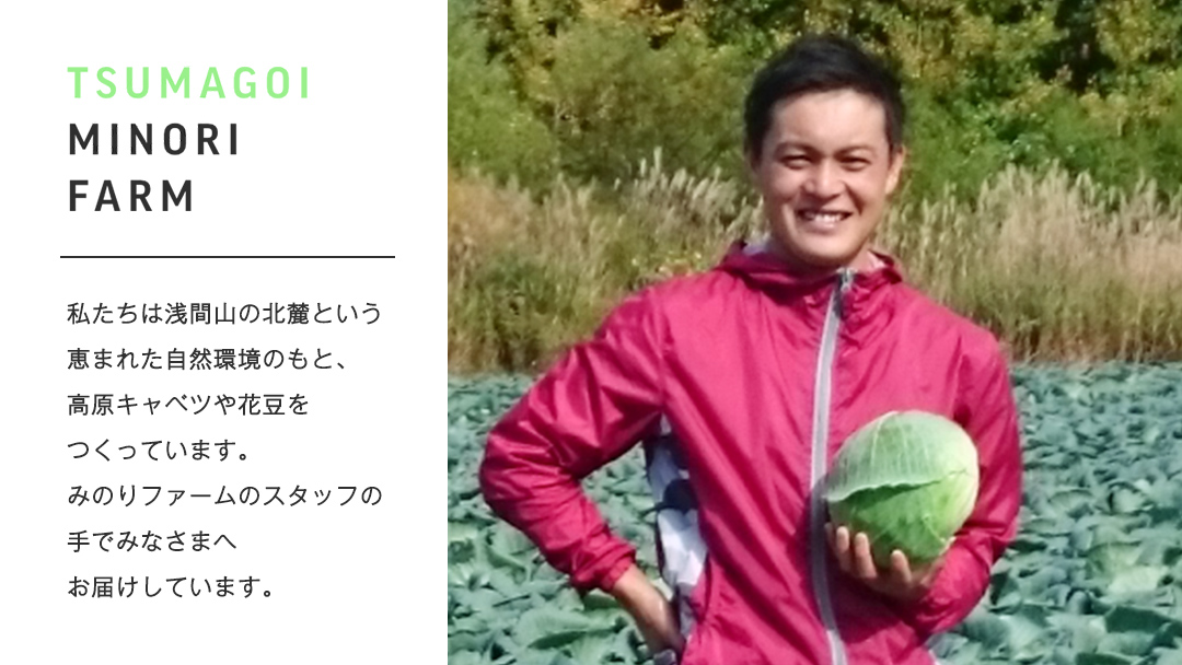 つまごい アイス 花豆 アイス 6個 セット アイスクリーム あいす カップアイス スイーツ デザート 8000円 [AV001tu]