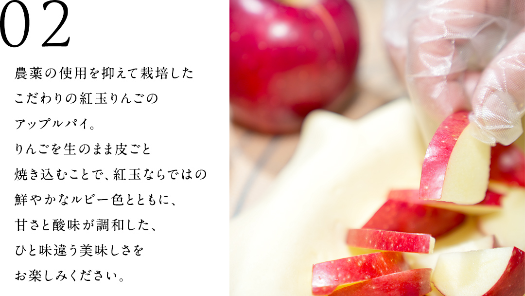 アップルパイ （ ホール 直径 20ｃｍ ） 自家製 ケーキ パイ おやつ 焼菓子 焼き菓子 リンゴ スイーツ ホール お取り寄せ お菓子 洋菓子 紅玉りんご ギフト 贈り物 [BL001tu]