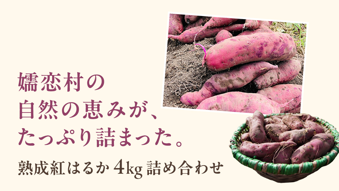 【 10月下旬発送開始 】嬬恋産 熟成 さつまいも 紅はるか 4kg 芋 いも サツマイモ 野菜 通販 お取り寄せ 嬬恋産 おいもやかんばら 農園 野菜 詰合せ 群馬 先行受付 [BR001tu]