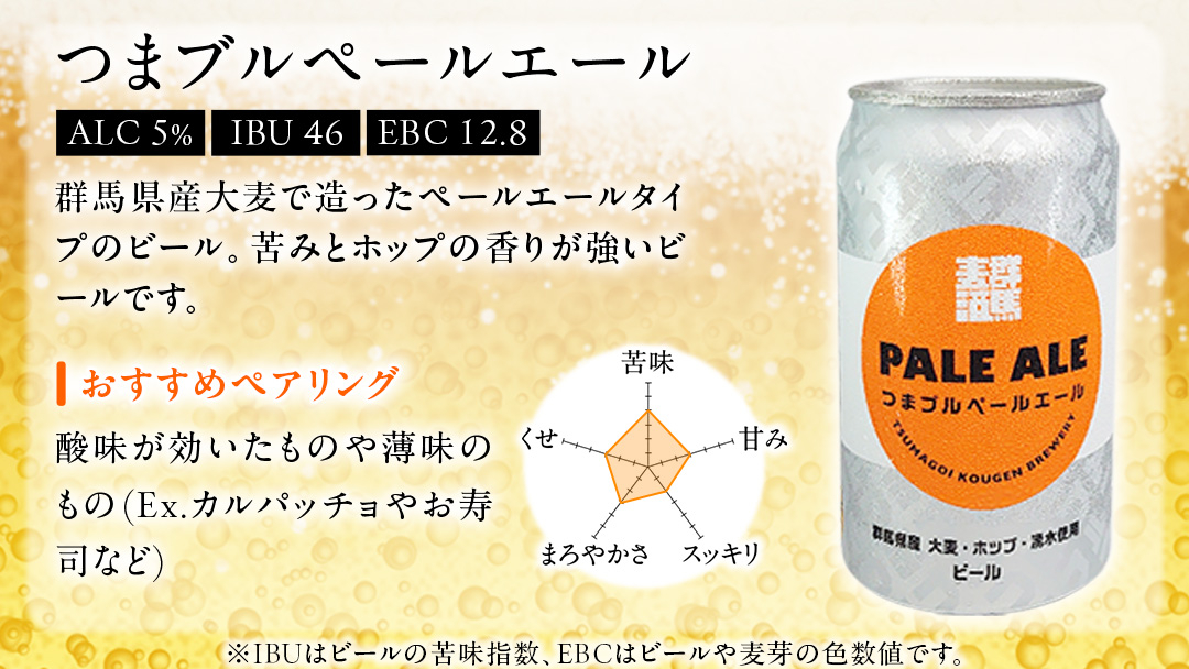 【 2026年 お歳暮 熨斗付 】 群馬麦酒10缶セット  ビール クラフトビール 嬬恋高原ブルワリー 350ml 10缶 飲み比べ IPA セット ギフト 父の日 [AA028tu]