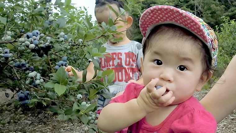 【数量限定】 冷凍ブルーベリー 2kg 国産 群馬県 フルーツ 果物 北軽井沢ブルーベリー園 1kg × 2袋 お取り寄せ 産地直送 ジャム スムージー ヨーグルト [AD003tu]