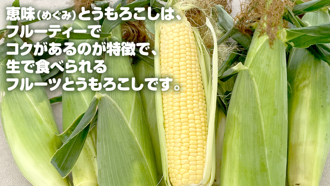 嬬恋産 めぐみ コーンスープ 150g × 5袋 とうもろこし コーンスープ スープ めぐみとうもろこし 嬬恋村 レトルトレンチン レンジ[AE007tu]