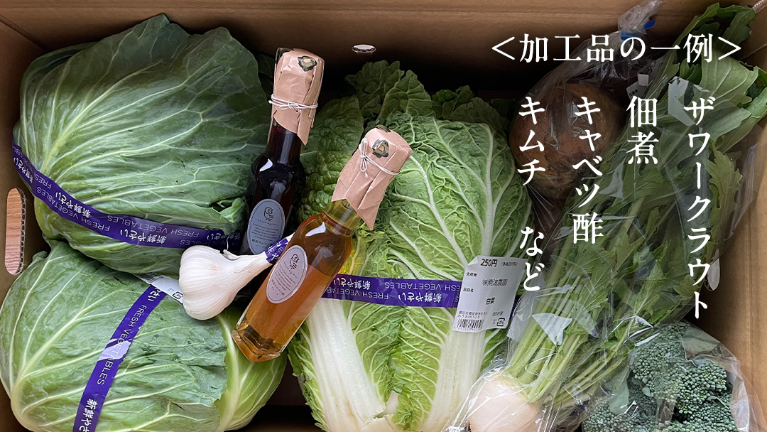 本日のおまかせ 高原野菜 5種以上 の 詰合せ と 加工品 1つ のセット 計10kg おまかせ 野菜 野菜セット 旬の野菜 産地直送 嬬恋キャベツ 加工品 酢 佃煮 漬物 惣菜 [AF028tu]