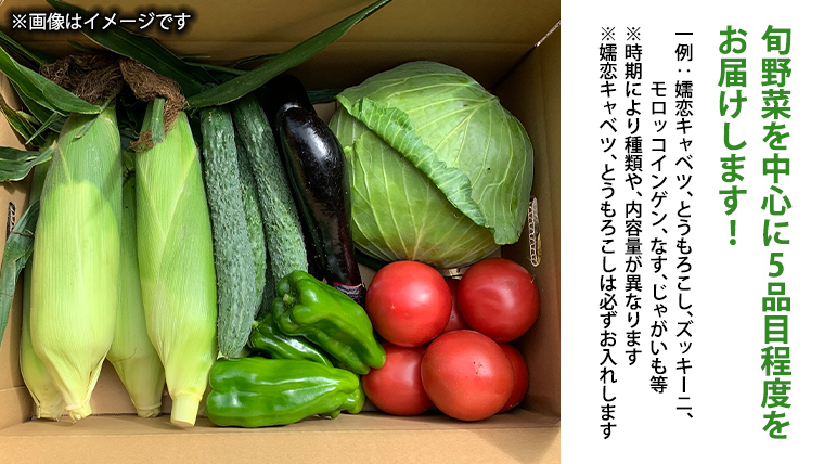 【9/10入金確認分まで】 嬬恋 キャベツ と旬の 高原 野菜 セット 4人様 ファミリー向け 旬の野菜 先行予約 きゃべつ 群馬 419 嬬恋キャベツ 産地直送 詰め合わせ アソート [AK002tu]