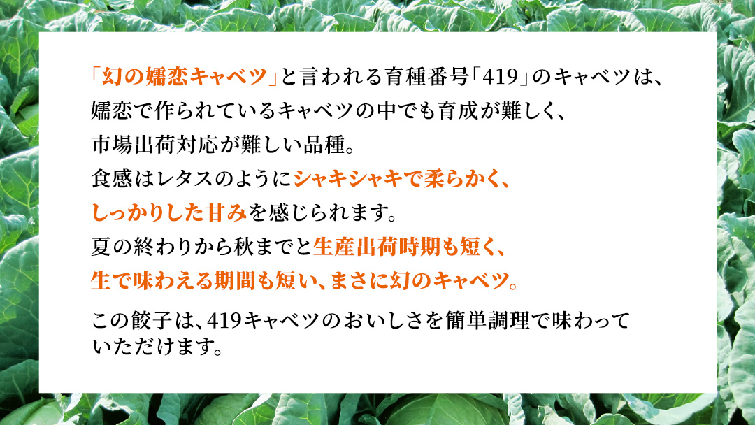 まぼろしのキャベツ419使用 ザ・羽生田餃子 15個 × 13パック 合計195個 ぎょうざ 豚肉 ギョウザ 小分け キャベツ 419 特産品 人気 冷凍 中華 中華惣菜 惣菜 大容量 [AL003tu]