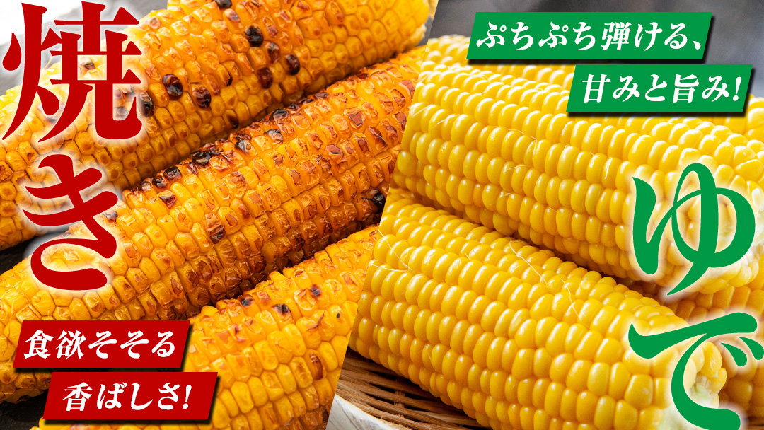 【8月下旬発送開始】 甘～いトウモロコシ 恵味 5kg 約10～12本 とうもろこし 産地直送 羽生田売店 期間限定 先行予約 人気 朝採り お取り寄せ 関東 群馬 先行受付 [AL005tu02]