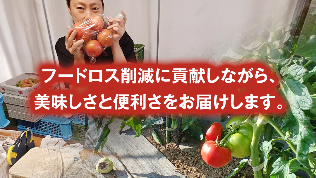 冷凍 トマトピューレ 1000g 訳あり トマトピューレ トマト 冷凍 フードロス 嬬恋産 万能 羽生田売店 時短 [AL011tu]