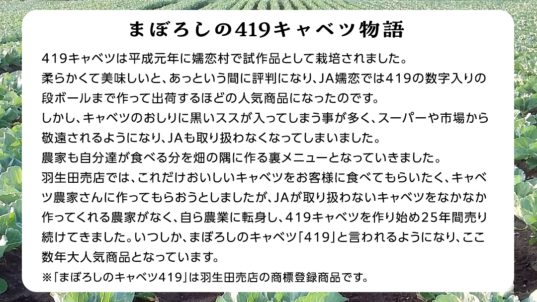 【 2025年 7月中旬 発送開始 】 《 3か月 定期便 》まぼろしの419キャベツ 2玉 3カ月 きゃべつ 嬬恋村産キャベツ 羽生田売店 幻のキャベツ419 産地直送 期間限定 先行予約 人気 朝採り 通販 お取り寄せ 関東 群馬 出荷時期限定 先行受付 [AL015tu]