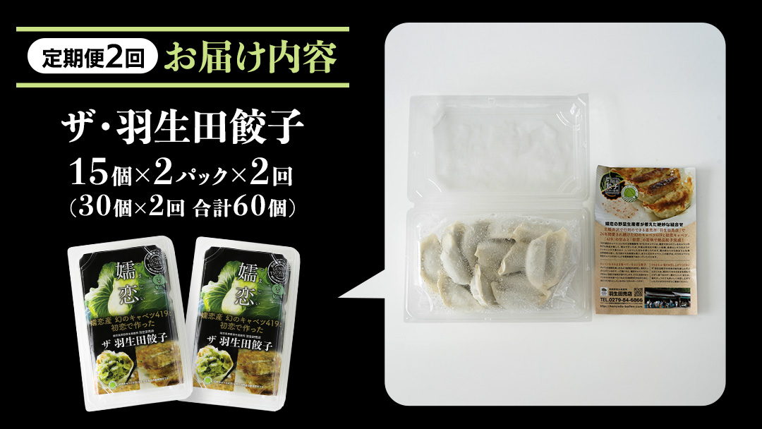 【 定期便 隔月2回 】 まぼろしのキャベツ419使用 ザ・羽生田餃子 15個 × 2パック 計30個 × 2回 ( 合計 60個 ) ぎょうざ 豚肉 ギョウザ 小分け キャベツ 419 特産品 人気 冷凍 中華 中華惣菜 惣菜 大容量 2回 [AL017tu]