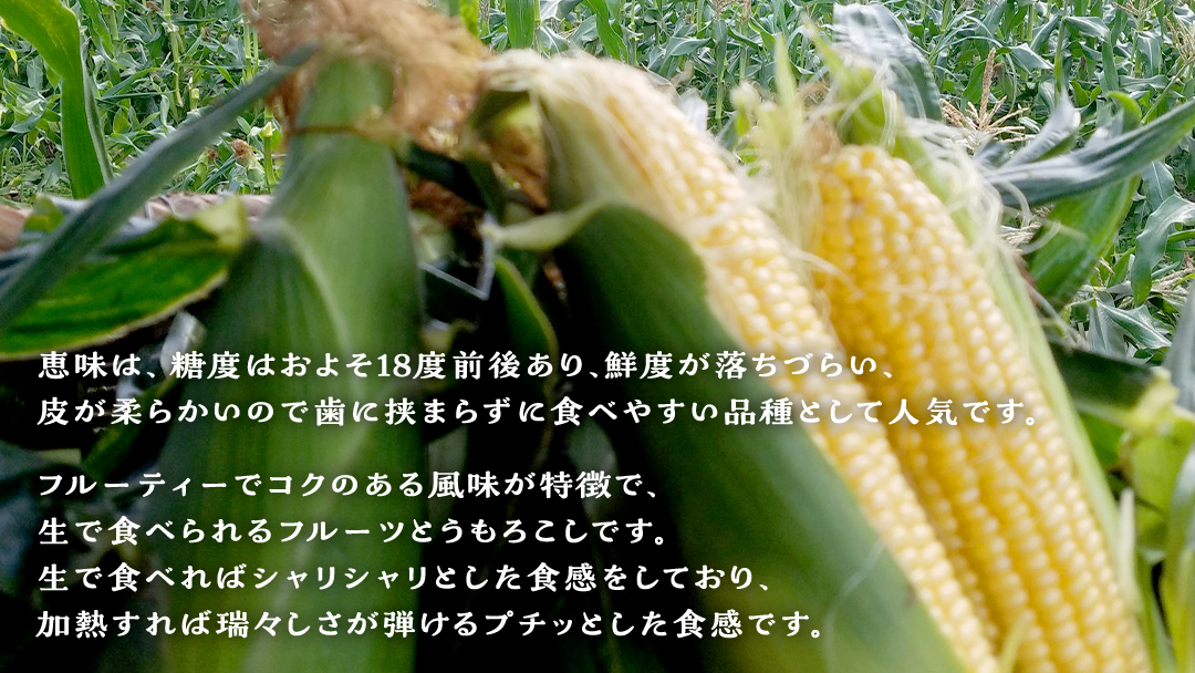 【 2025年 7月 発送開始 】 《3か月定期便》旬の野菜3種 419キャベツ 恵味トウモロコシ じゃがいも きゃべつ 嬬恋村産キャベツ 羽生田売店 幻のキャベツ419 産地直送 期間限定 先行予約 人気 朝採り 通販 お取り寄せ 関東 群馬 出荷時期限定 先行受付 [AL018tu]