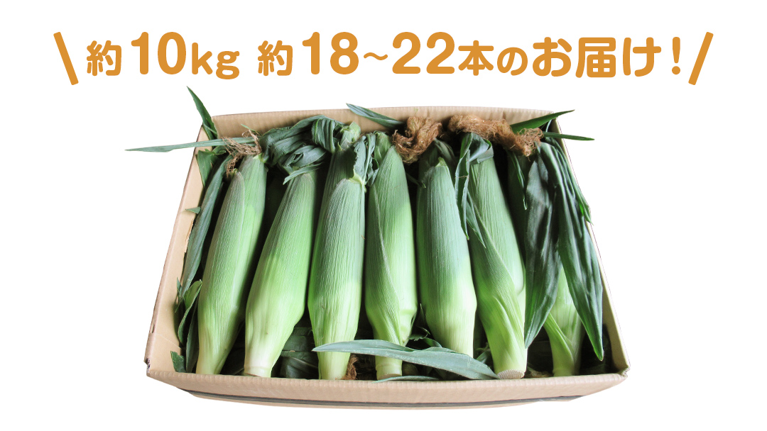 【 数量限定 】 嬬恋産 とうもろこし ドルチェドリーム 約18本～22本 約 10kg トウモロコシ 大粒 野菜 群馬 産地直送 期間限定 お取り寄せ [AT003tu]