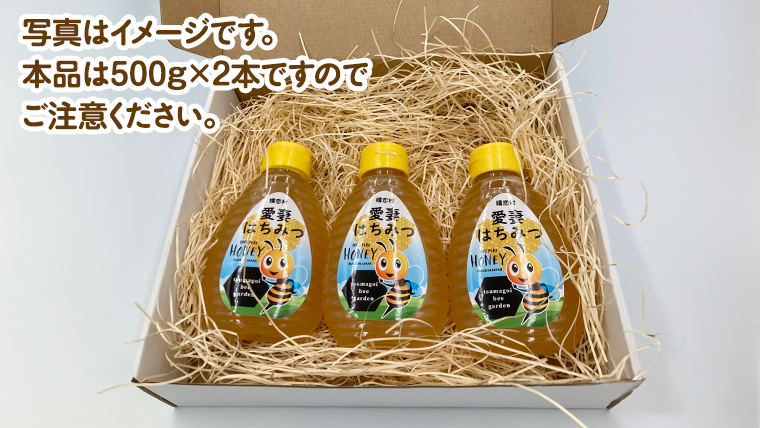 嬬恋村 愛妻はちみつ ( 百花 ) 500g 2個セット はちみつ ハチミツ 国産 蜂蜜 群馬 [AC003tu]