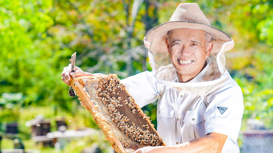 愛妻 はちみつ ( アカシア ) ・愛妻 はちみつ プリン はちみつ プリン 手作り 国産 蜂蜜 群馬 アカシア [AC014tu]