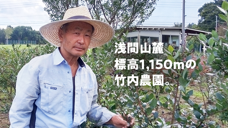 【数量限定】 冷凍ブルーベリー 2kg 国産 群馬県 フルーツ 果物 北軽井沢ブルーベリー園 1kg × 2袋 お取り寄せ 産地直送 ジャム スムージー ヨーグルト [AD003tu]