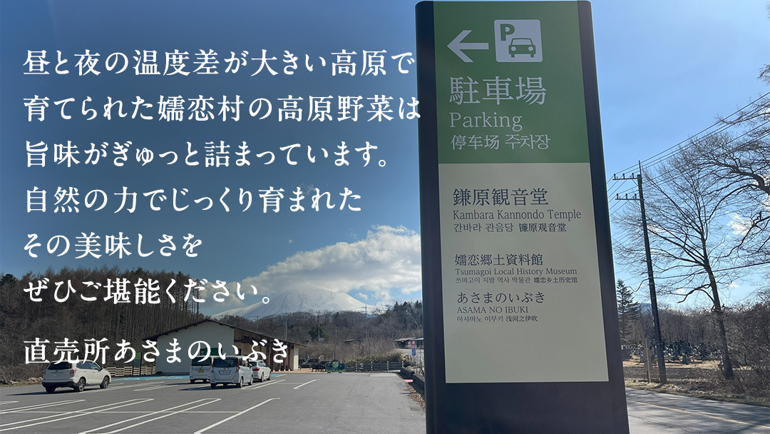 本日のおまかせ 高原野菜 5種以上 の 詰合せ と 加工品 1つ のセット 計10kg おまかせ 野菜 野菜セット 旬の野菜 産地直送 嬬恋キャベツ 加工品 酢 佃煮 漬物 惣菜 [AF028tu]
