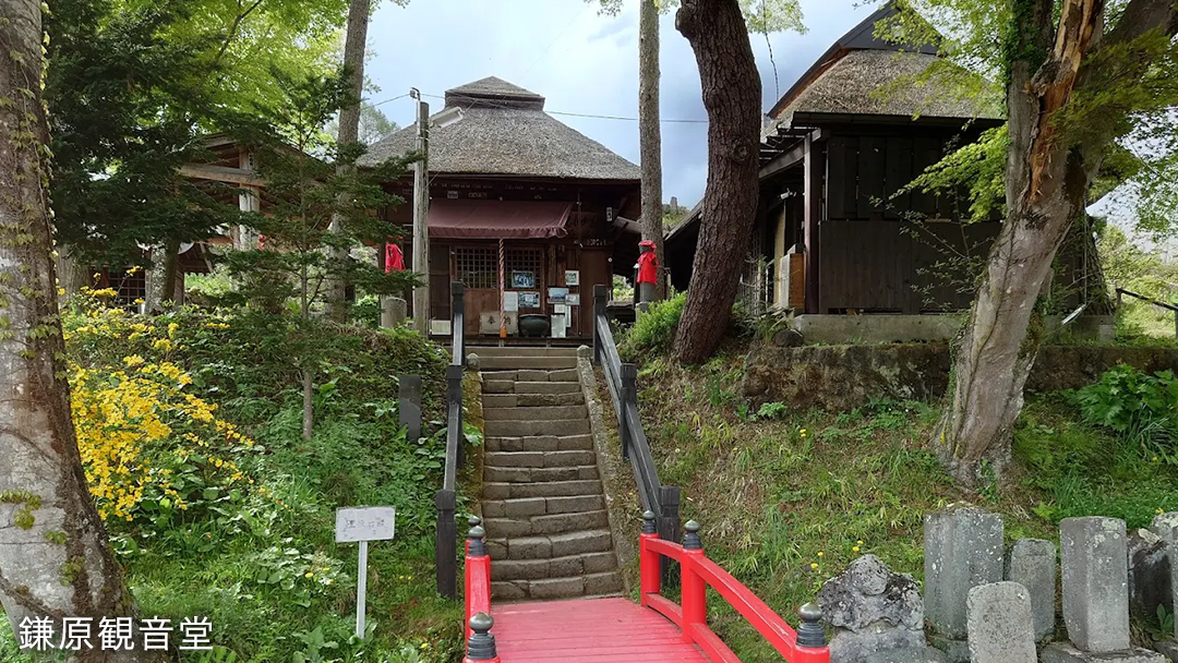 嬬恋村を満喫! ランチ付き 嬬恋村 観光 プラン ( 2名 様 ) 体験 野菜 飲食 ガイド 観光地 食べる ギフト チケット 利用券 食事券 旅行 群馬 観光 [AF030tu]