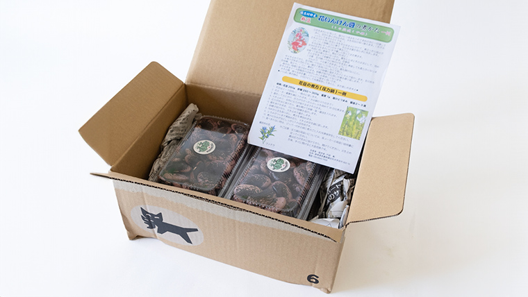 嬬恋村 浅間高原特産【 大粒 】乾燥 花豆 500g 花まめ 花豆 群馬 黒豆 煮豆 おせち 数量限定 [AI001tu]