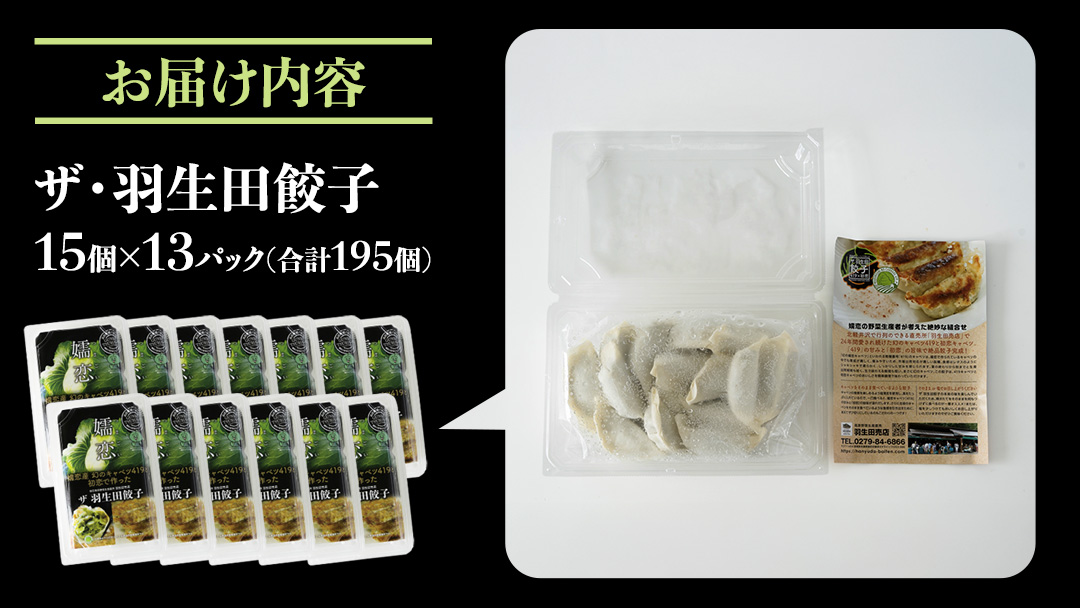 まぼろしのキャベツ419使用 ザ・羽生田餃子 15個 × 13パック 合計195個 ぎょうざ 豚肉 ギョウザ 小分け キャベツ 419 特産品 人気 冷凍 中華 中華惣菜 惣菜 大容量 [AL003tu]