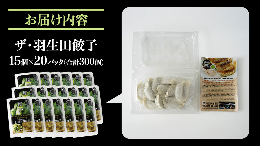 まぼろしのキャベツ419使用 ザ・羽生田餃子 15個 × 20パック 合計300個 ぎょうざ 豚肉 ギョウザ 小分け キャベツ 419 特産品 人気 冷凍 中華 中華惣菜 惣菜 大容量 [AL004tu]