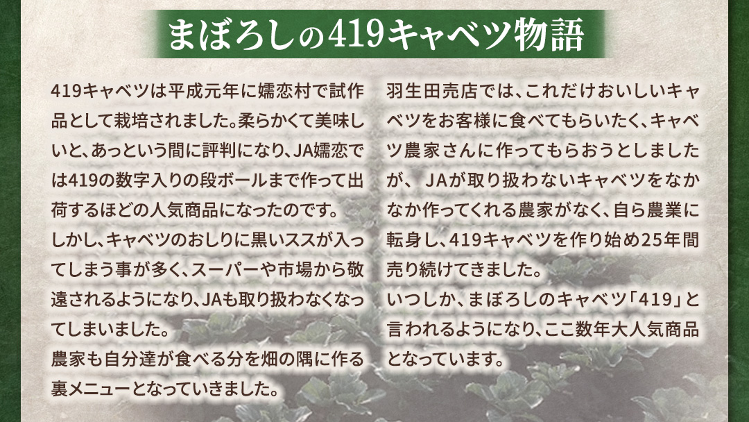 【7月中旬発送開始】訳あり まぼろしの419キャベツ 4玉 きゃべつ 嬬恋村産キャベツ 羽生田売店 幻のキャベツ419 産地直送 期間限定 人気 朝採り 通販 お取り寄せ 関東 群馬 出荷時期限定 ZIP! 先行予約 [AL006tu]