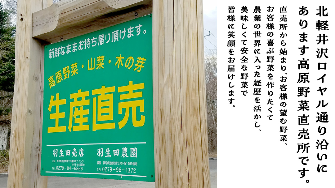 【 2025年 7月中旬 発送開始 】 《 3か月 定期便 》まぼろしの419キャベツ 2玉 3カ月 きゃべつ 嬬恋村産キャベツ 羽生田売店 幻のキャベツ419 産地直送 期間限定 先行予約 人気 朝採り 通販 お取り寄せ 関東 群馬 出荷時期限定 先行受付 [AL015tu]