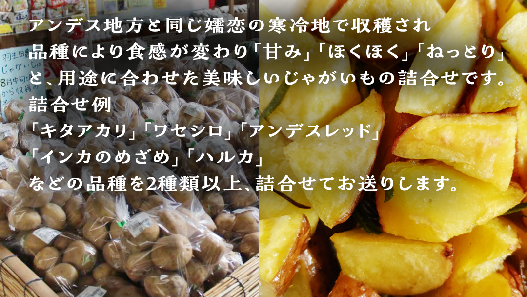 【 2025年 7月 発送開始 】 《3か月定期便》旬の野菜3種 419キャベツ 恵味トウモロコシ じゃがいも きゃべつ 嬬恋村産キャベツ 羽生田売店 幻のキャベツ419 産地直送 期間限定 先行予約 人気 朝採り 通販 お取り寄せ 関東 群馬 出荷時期限定 先行受付 [AL018tu]
