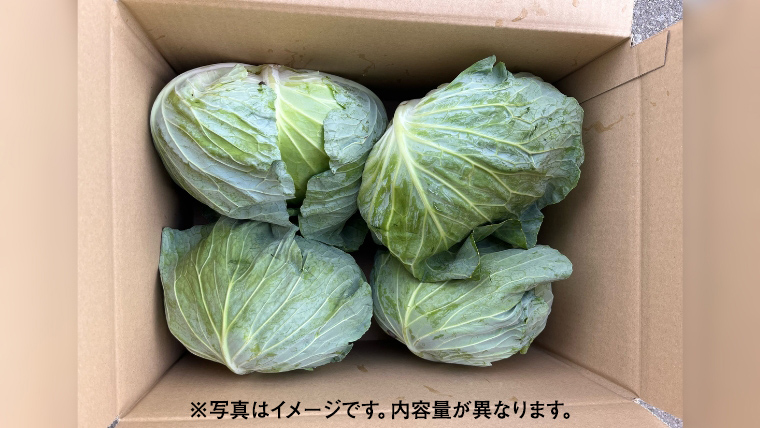 嬬恋キャベツ 嬬恋産 高原キャベツ3玉1ケース 旬の野菜 きゃべつ 産地直送 群馬 お取り寄せ 野菜 セット Lサイズ [AS010tu]