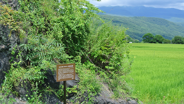 ひとめぼれ 嬬恋米 5kg × 2袋 ( 合計 10kg ) 令和7年産 新米 ブランド米 白米 受賞 皇室献上米 農家直送 精米 米 こめ コメ ごはん 群馬県 [AU001tu]