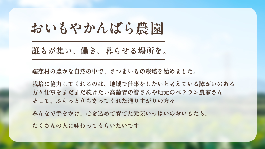 【 10月下旬発送開始 】嬬恋産 熟成 さつまいも 紅はるか 4kg 芋 いも サツマイモ 野菜 通販 お取り寄せ 嬬恋産 おいもやかんばら 農園 野菜 詰合せ 群馬 先行受付 [BR001tu]