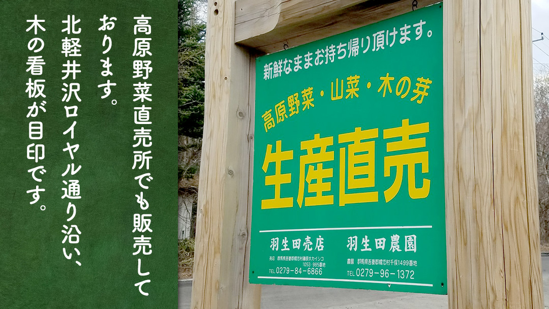 ＜7月中旬発送開始＞【 特選 】 まぼろしの419キャベツ 2玉 きゃべつ 嬬恋村産キャベツ 羽生田売店 幻のキャベツ419 産地直送 期間限定 先行予約 人気 朝採り 通販 お取り寄せ 関東 群馬 出荷時期限定 先行受付 [AL020tu]