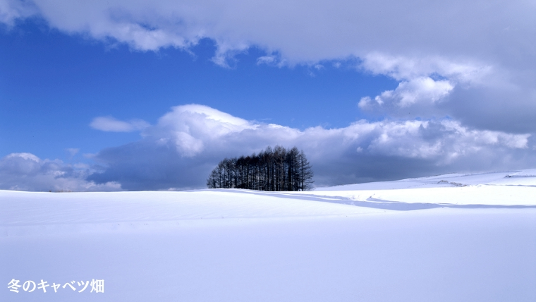 嬬恋村 で使える 感謝券 90,000円 分 (90枚) 温泉総選挙 万座温泉 万座 鹿沢温泉 観光 旅行券 宿泊券 旅行 温泉 スキー ホテル 旅館 トラベル 父の日 母の日 敬老の日 浅間高原 鹿沢 バラギ 北軽井沢エリア 関東 90000円 クーポン チケット 国内旅行 お泊り 日帰り 観光地応援 [AO011tu]