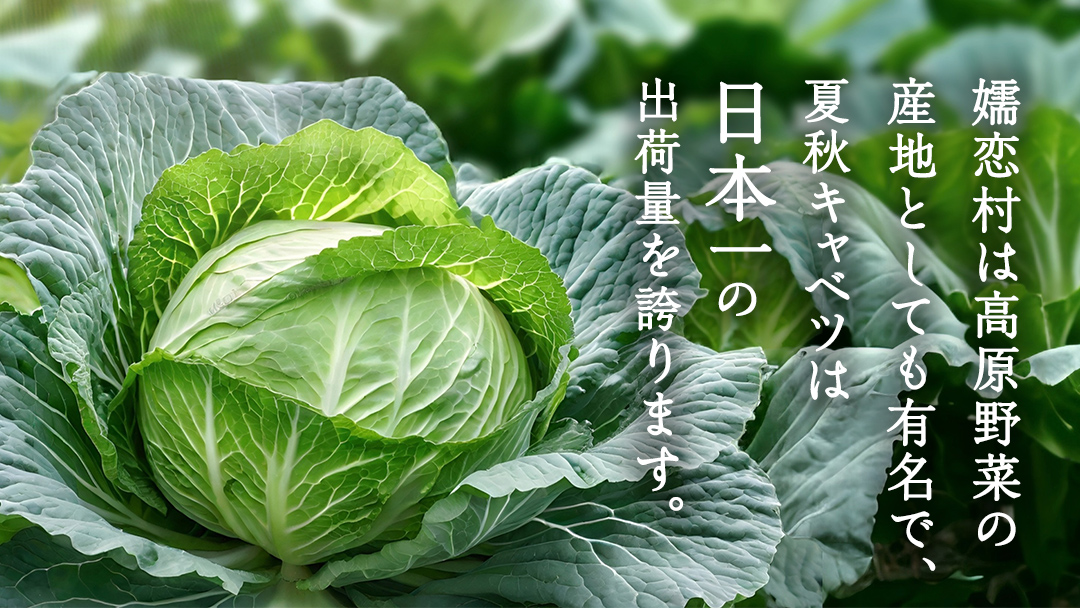 まるでキャベツ 嬬恋産 ドーム型 ロールキャベツ 3個セット レトルト 食べ比べ おかず 温めるだけ 長期保存可 災害対策 レンチン レンジ ローリングストック 非常食 防災 キャンプ 詰め合わせ 牛肉 洋食 [AH033tu]