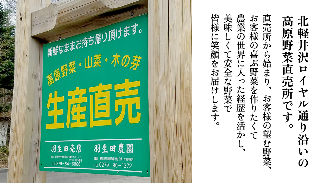 【8月下旬発送開始】 甘～いトウモロコシ 恵味 5kg 約10～12本 とうもろこし 産地直送 羽生田売店 期間限定 先行予約 人気 朝採り お取り寄せ 関東 群馬 先行受付 [AL005tu02]